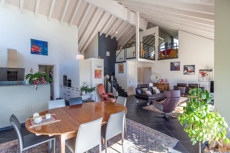 Splendide propriété avec villa 7.5 pièces de 319 m2 habitables (3)