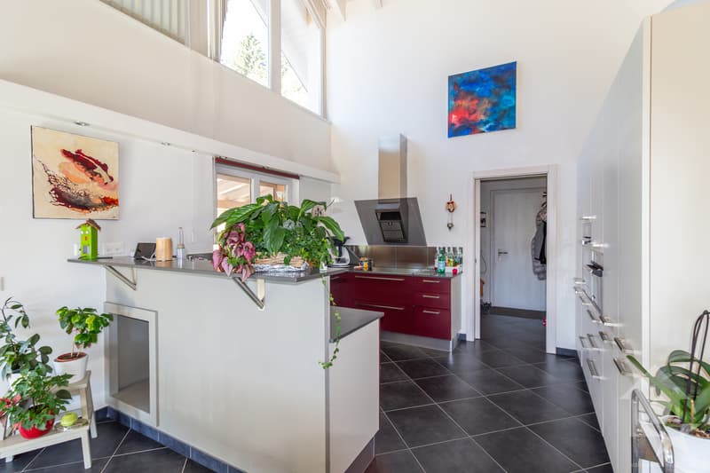 Splendide propriété avec villa 7.5 pièces de 319 m2 habitables (13)