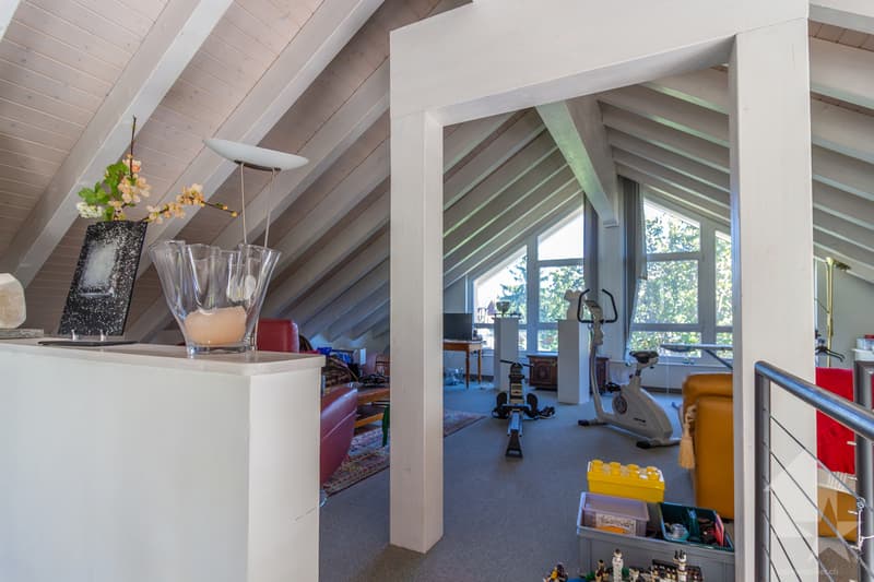 Splendide propriété avec villa 7.5 pièces de 319 m2 habitables (7)