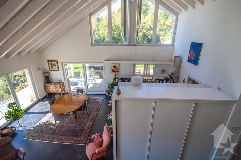 Splendide propriété avec villa 7.5 pièces de 319 m2 habitables (9)