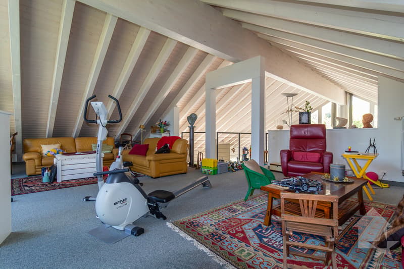 Splendide propriété avec villa 7.5 pièces de 319 m2 habitables (8)