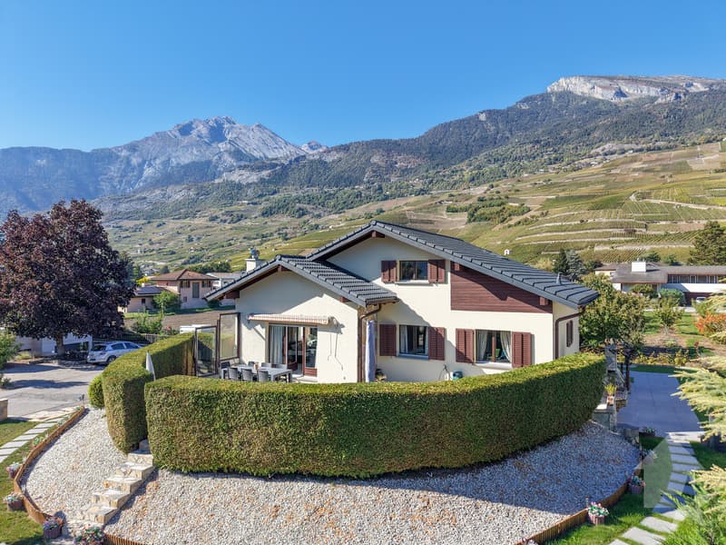 Villa villageoise 7.5 pièces rénovée avec grand jardin et terrasses (7)