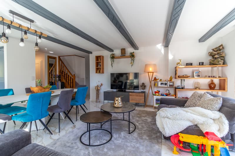 Villa villageoise 7.5 pièces rénovée avec grand jardin et terrasses (8)