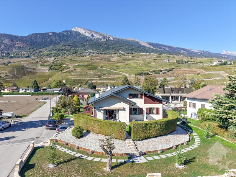 Villa villageoise 7.5 pièces rénovée avec grand jardin et terrasses (1)