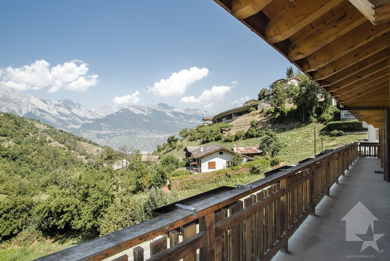 Magnifique chalet (13)