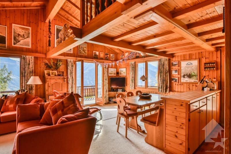 Joli chalet en bordure de piste (7)