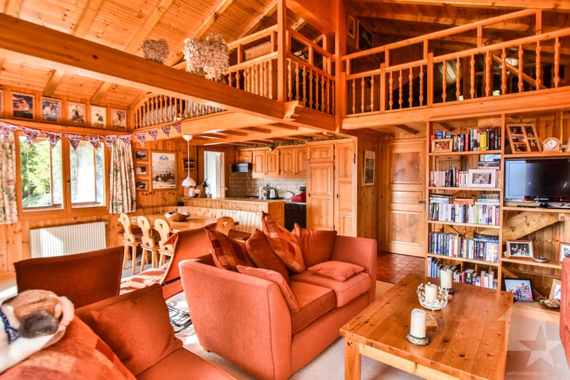 Joli chalet en bordure de piste (9)