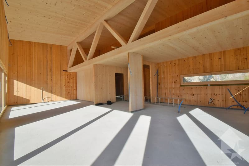 Neuve - Magnifique villa de 5.5 pièces (7)