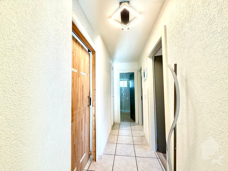 Joli appartement rénové de 90 m2 avec garage box et parc ! (8)