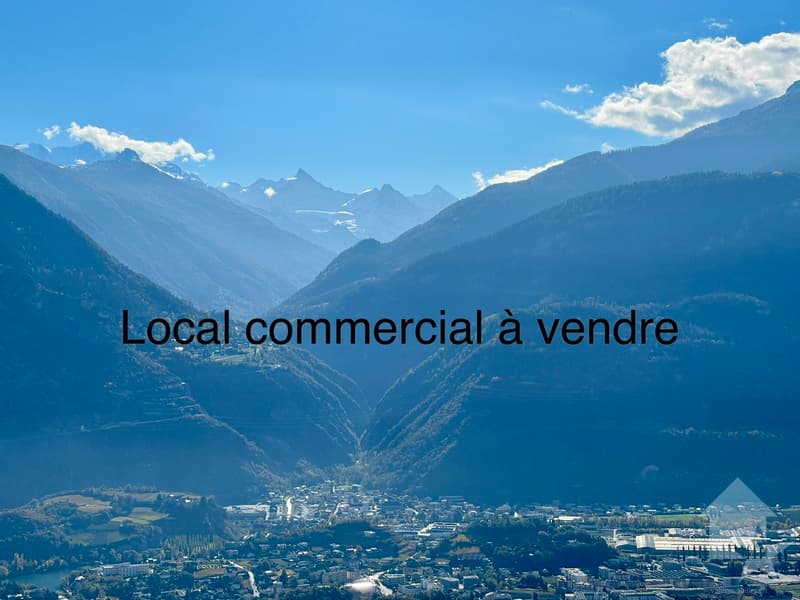 Local commercial de 550 m2 sur 2 niveaux, vendu loué jusqu'à fin 2029 (1)
