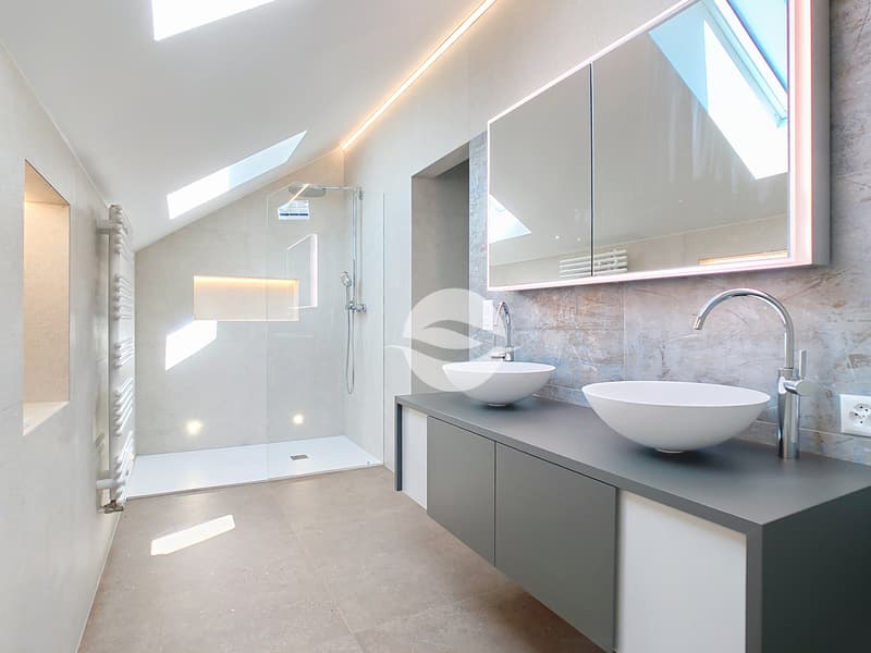 1er : Salle de douche privée