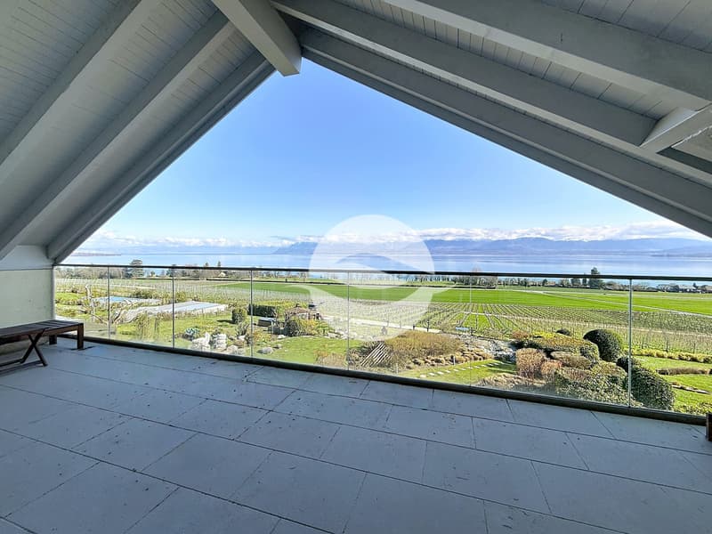 Terrasse avec vue Lac et Alpes
