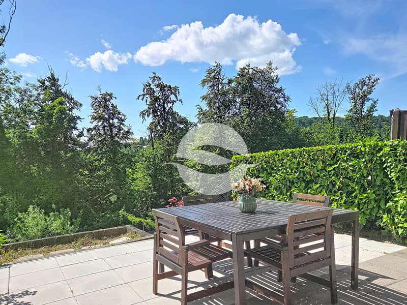 Terrasse / Terrace