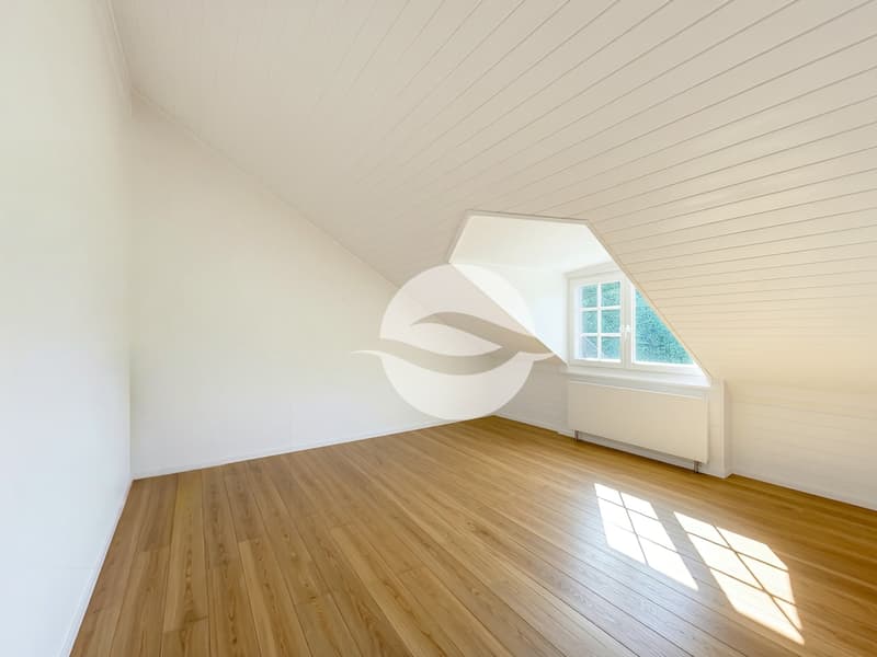 Combles : Chambre parentale avec salle de douche attenante (cadre fenêtre et poutre seront couleur bois)