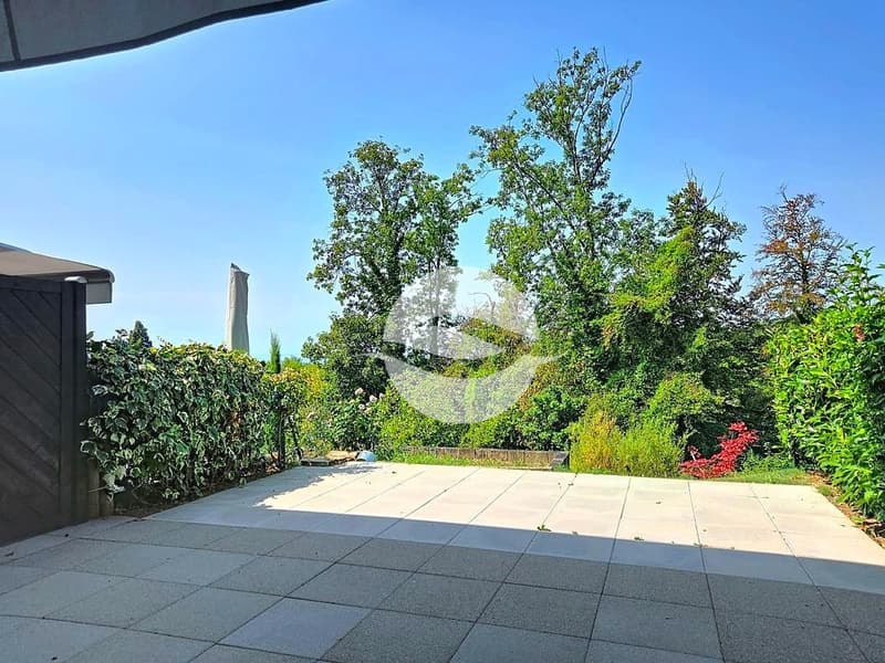Terrasse / Terrace