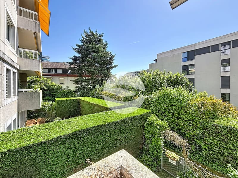 Vue depuis la terrasse
