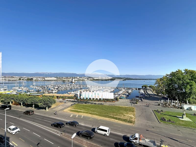 Sublime appartement, spacieux avec vue sur le lac et le jet d'eau! (12)