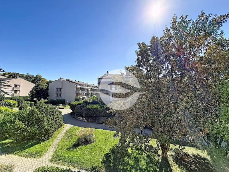 Agréable appartement lumineux de 5.5 pièces au calme absolu! (1)