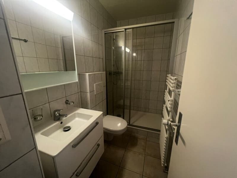 Sierre - Agréable appartement de 3 pièces avec parking inclus (1)