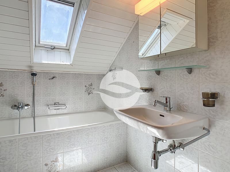 1er : Salle de bains (sans WC)