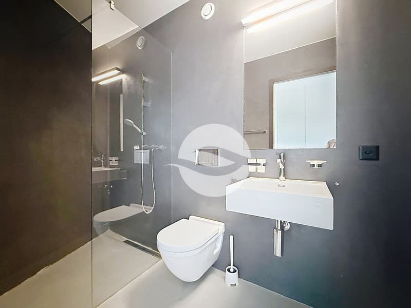 Petit-Lancy - Superbe appartement de 6.5 pièces avec terrasse (9)