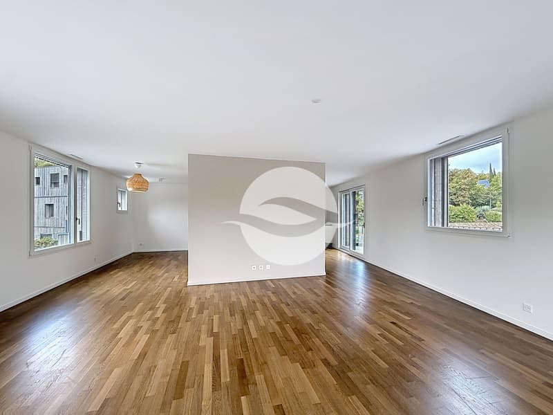Petit-Lancy - Superbe appartement de 6.5 pièces avec terrasse (4)