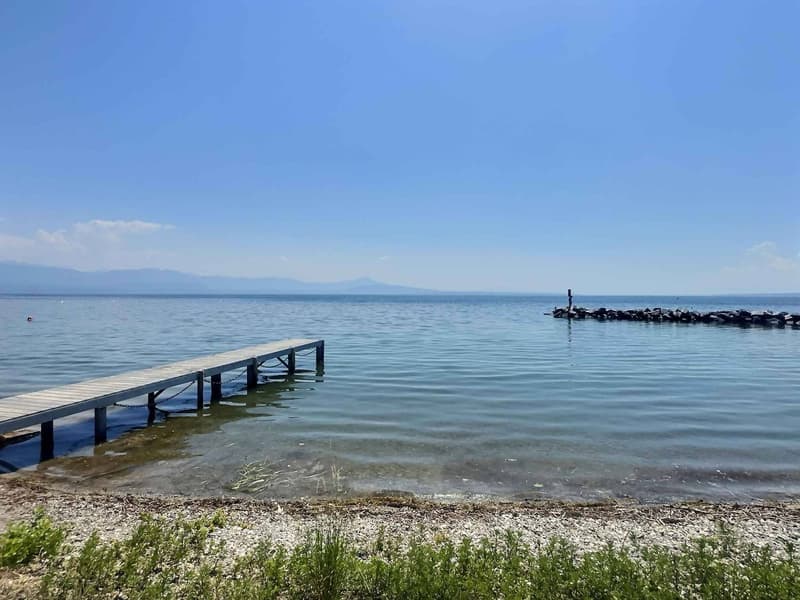 Charming "water's edge" villa with 3.5 rooms in Allaman (9)