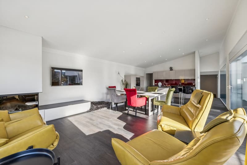 Magnificent individual villa with 7.5 rooms in contemporary design (5)