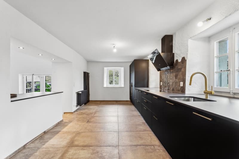 Sumptuously renovated farm with indoor pool (4)