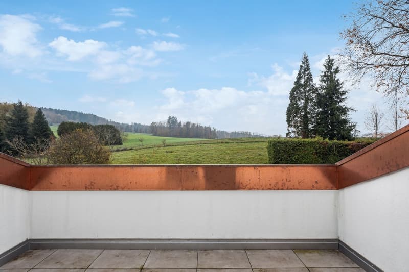 Azienda agricola somptuosamente ristrutturata con piscina interna (9)