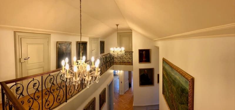 Splendide duplex d'exception à deux pas du bord du lac de Morat (12)