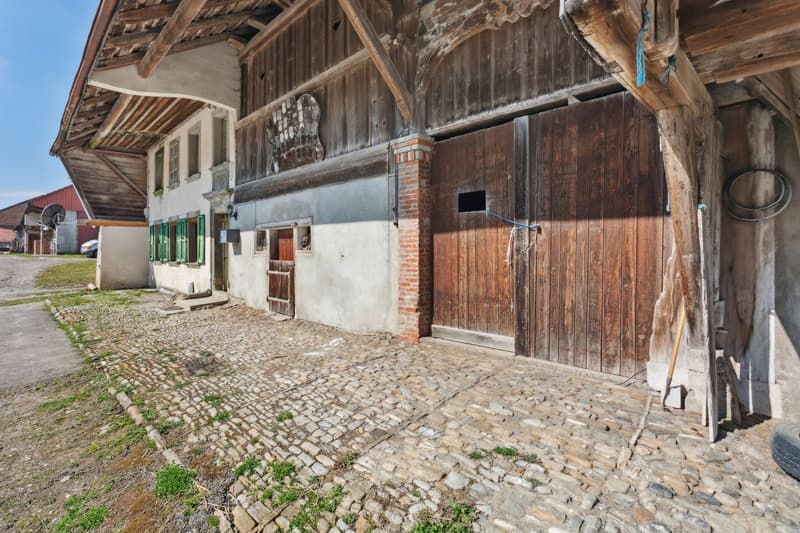 Fattoria Autentica da Ristrutturare (3)