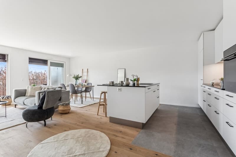 Appartement de 3.5 pièces au rez-de-chaussée - Lot 1 (8)