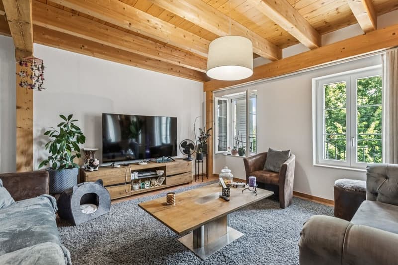 Immeuble mixte avec restaurant- Excellent potentiel de rendement (9)