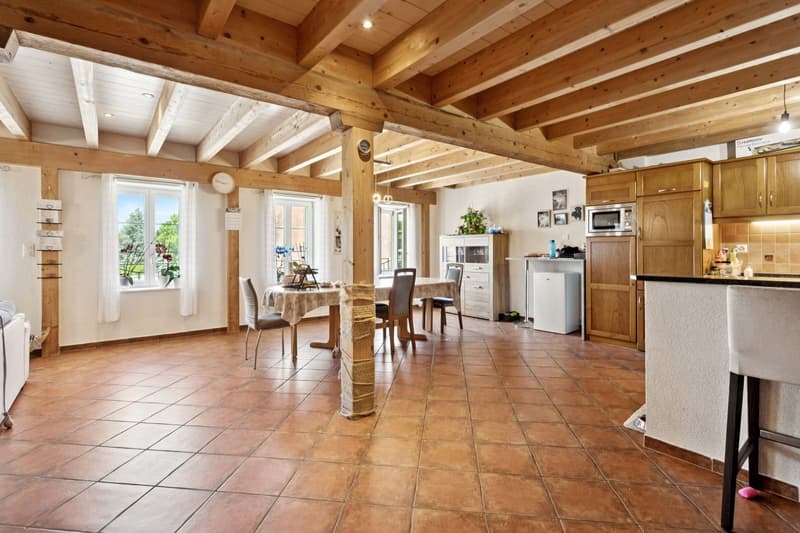 Immeuble mixte avec restaurant- Excellent potentiel de rendement (8)