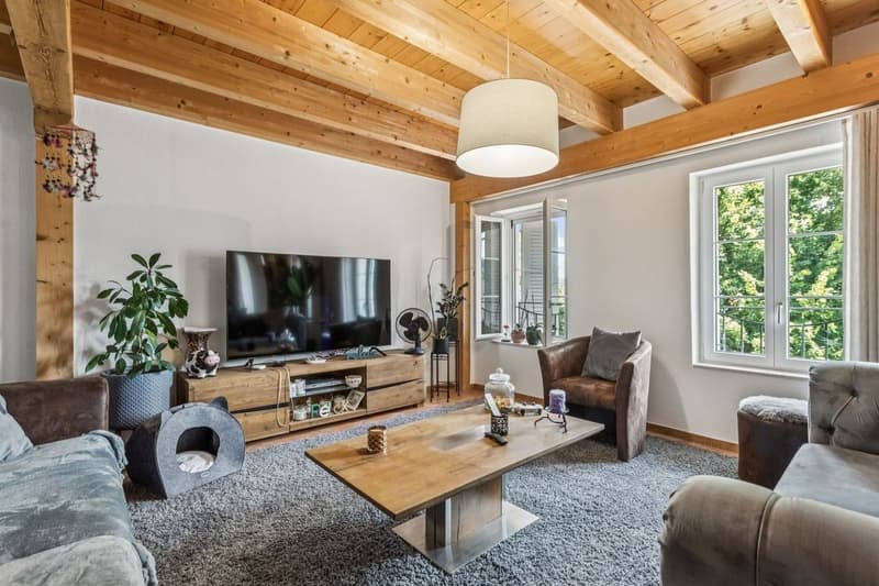 Immeuble mixte avec restaurant- Excellent potentiel de rendement (9)