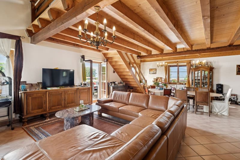 Charming 5-room apartment in a lovely PPE with 3 apartments (3)