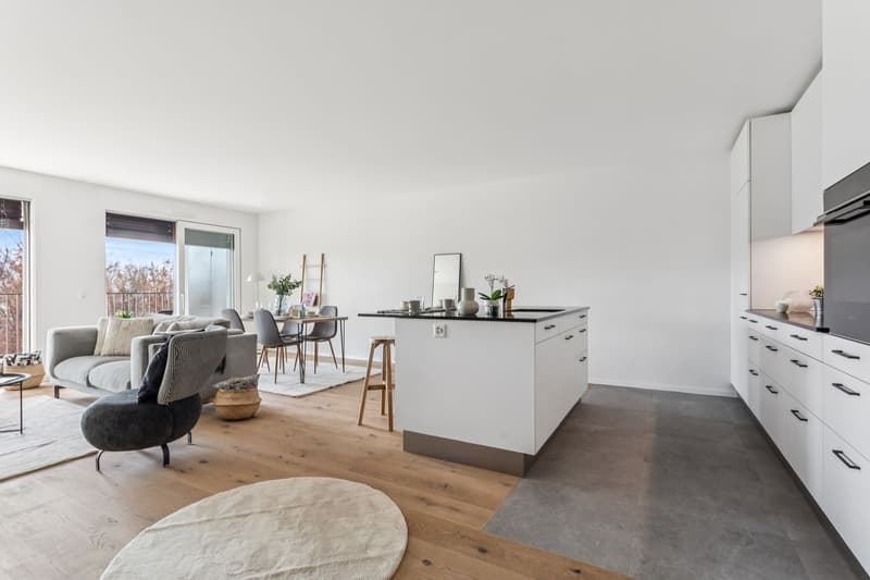 Appartement de 4,5 pièces au 6e étage - Lot 22 (7)