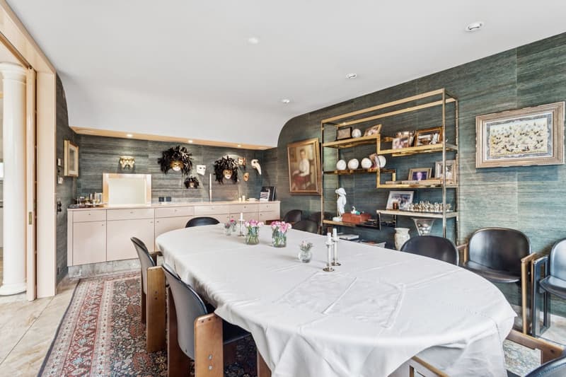 Superbe maison jumelée de 10 pièces  avec appartement de rendement (4)