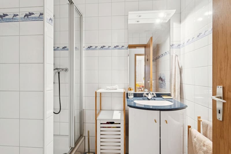 Bel appartement dans un quartier familial (12)