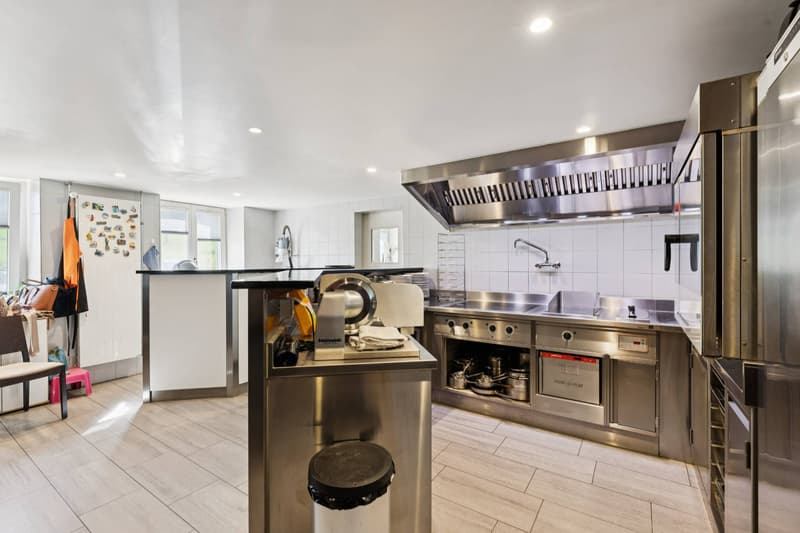 Stunning Manor House featuring 2 apartments and guest rooms (5)