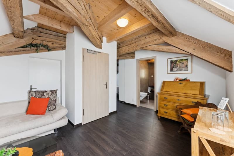 Maison de Maître comprenant 2 appartements et des chambres d'hôtes (9)