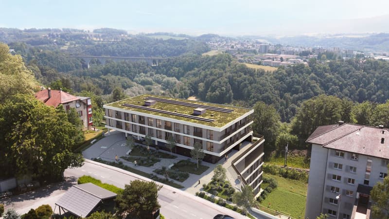 3.5 room apartment on the ground floor - Lot 2 (3)