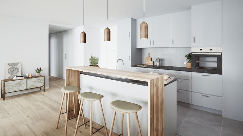 3.5 room apartment on the ground floor - Lot 2 (7)