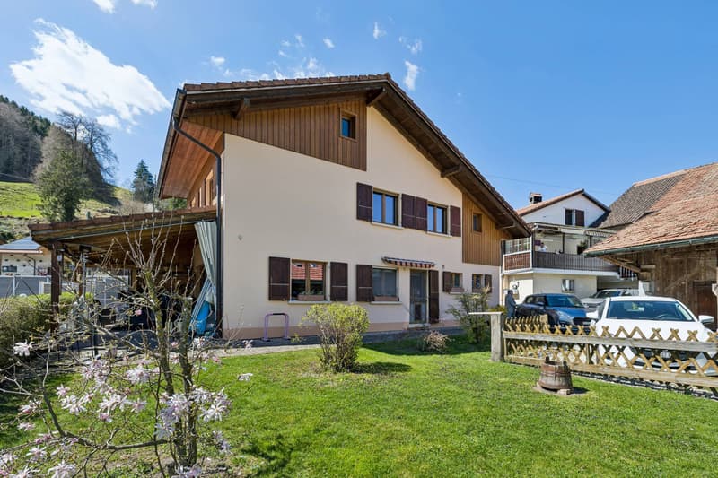 Cozy House with Unobstructed Mountain View in Enney (1)
