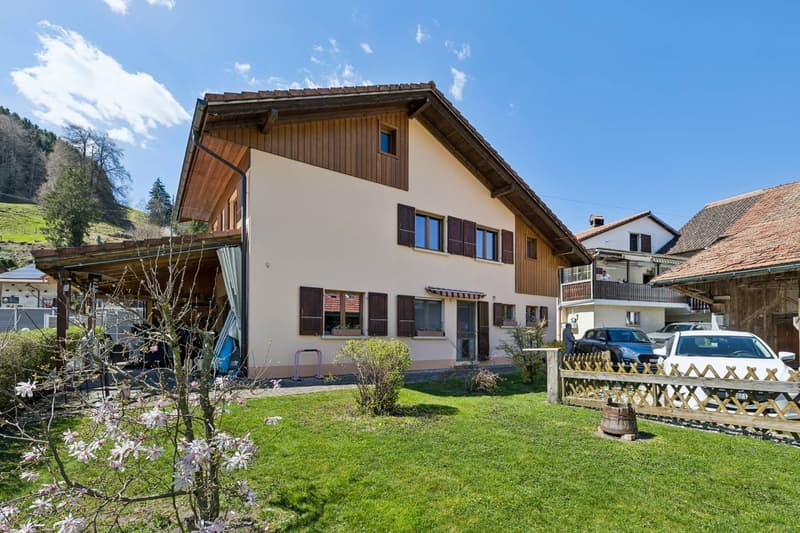 Cozy House with Unobstructed Mountain View in Enney (1)