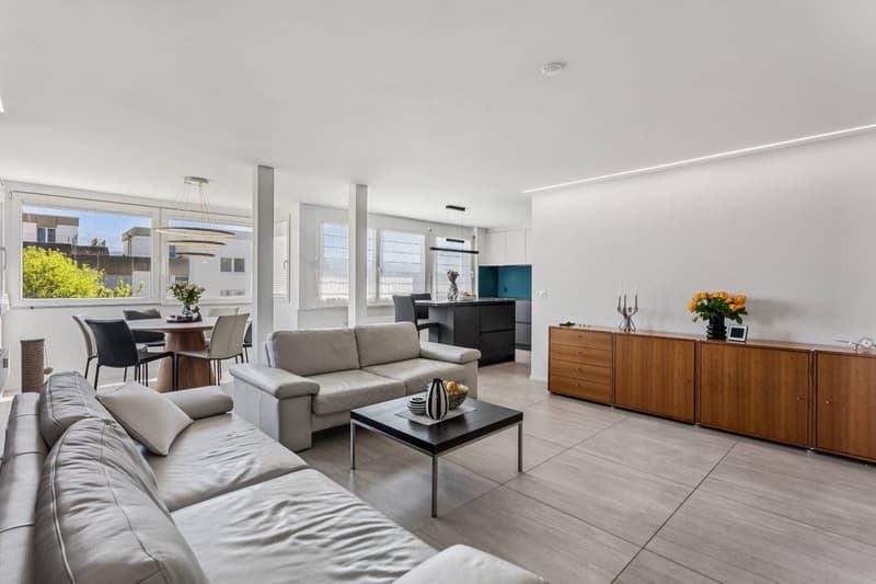 Beautiful 4.5-room renovated apartment (1)