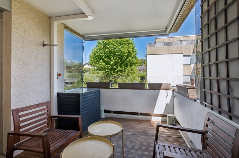 Magnifique appartement de 4,5 pièces rénové (13)