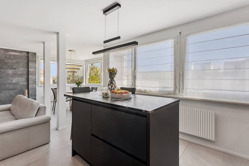 Beautiful 4.5-room renovated apartment (12)