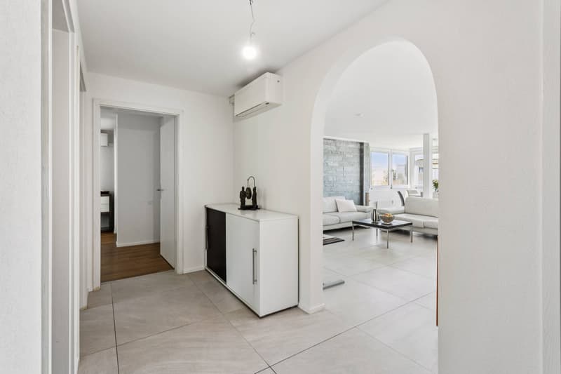 Beautiful 4.5-room renovated apartment (11)